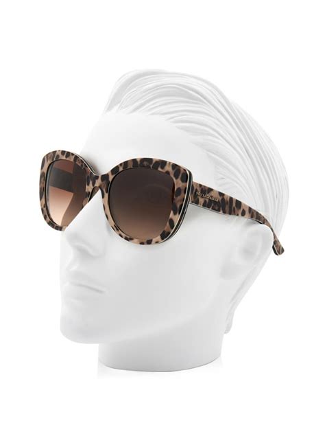 dolce gabbana leopard sunglasses|dolce gabbana sunglasses for sale.